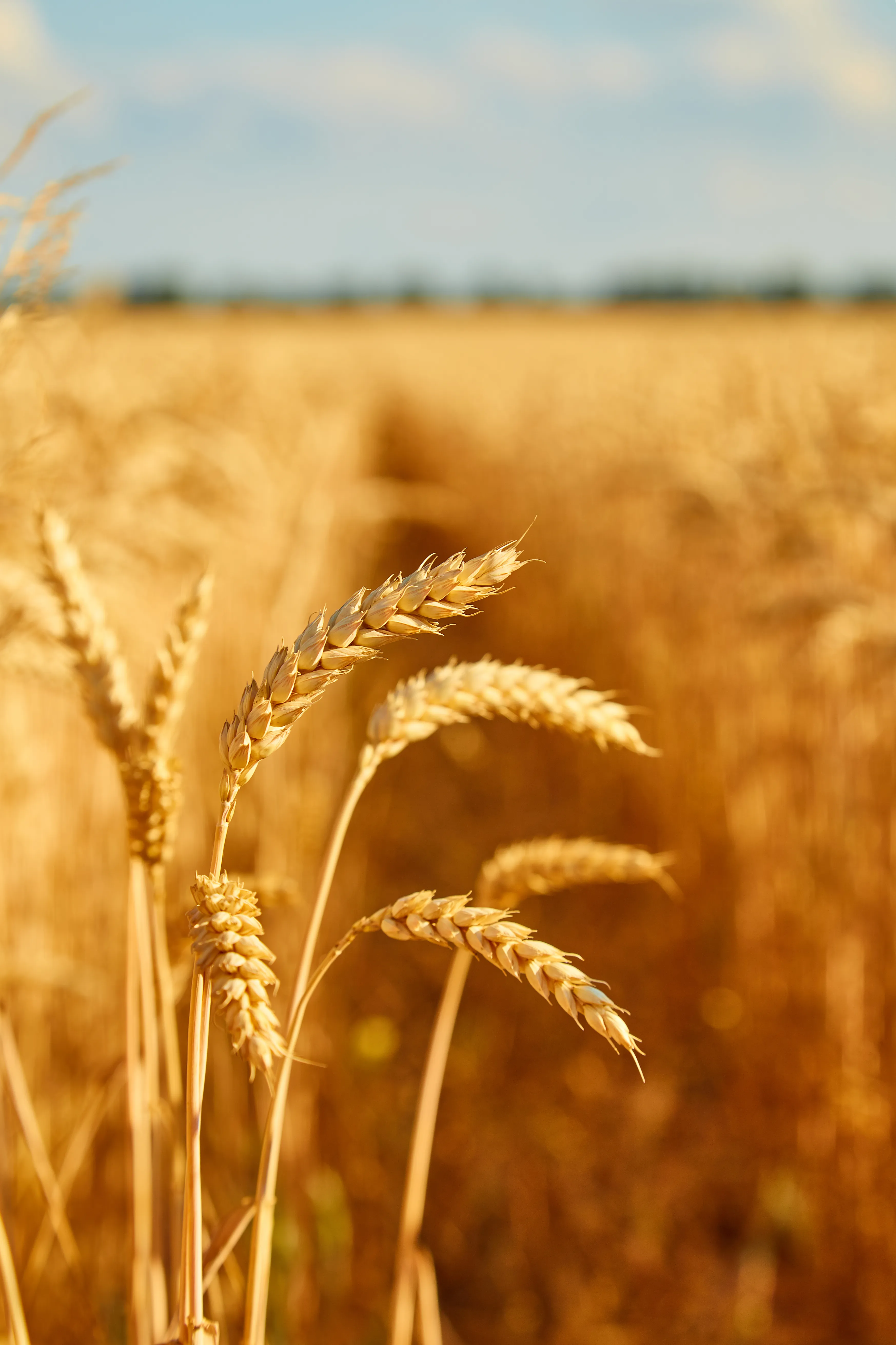 Image about tax-loss harvesting